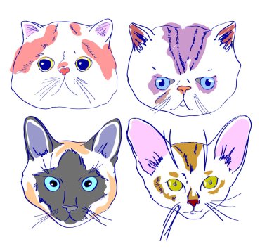 Kediler yüzler karikatür tarzı çizim