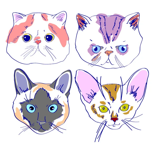 Chats visages dessin dans le style de dessin animé — Image vectorielle