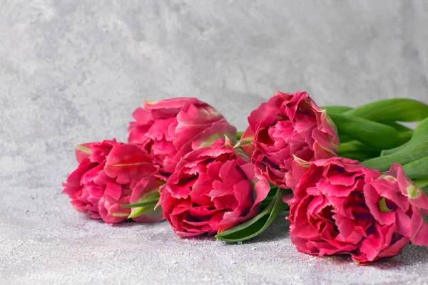 Boeket Roze Tulpen Grijze Textuur Achtergrond Moederdag Valentijnsdag Verjaardagsfeest Concept — Stockfoto