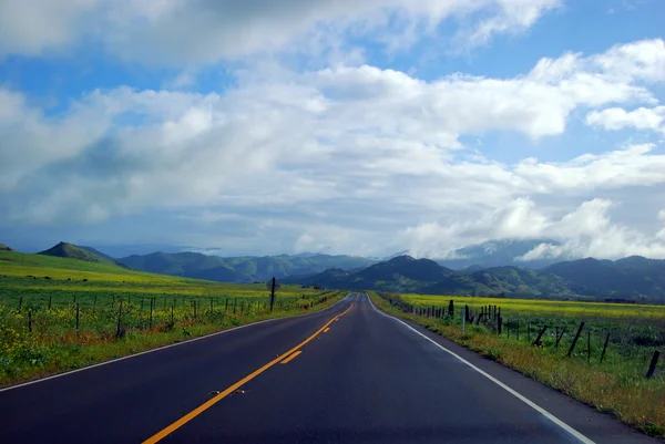 Paisaje de carretera de verano — Foto de Stock