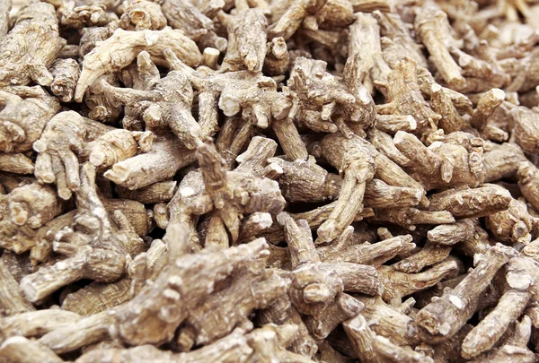 Chinese Herbal medicine - American Ginseng roots — Stock Photo, Image