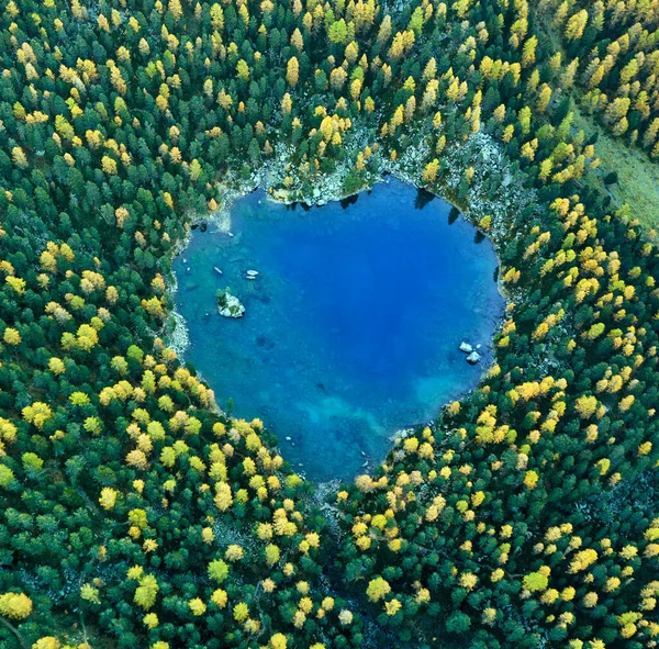 Vista Aérea Sobre Lago Saoseo Forma Corazón Temporada Otoño Con —  Fotos de Stock
