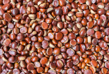 Tam kare olarak yenilebilir kestane arkaplan