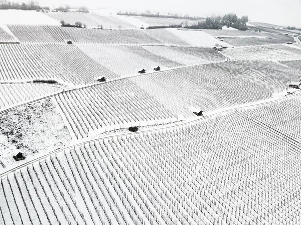 Vinodlingar Snön Med Verktygshus Vintertid — Stockfoto