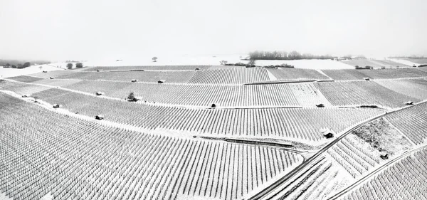 冬のツールハウスと雪の下のブドウ畑のパノラマ 大規模なステッチファイル — ストック写真