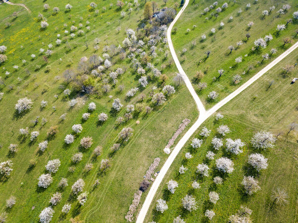 Aerial view of agriculture regions with blooming orchard garden over the hill