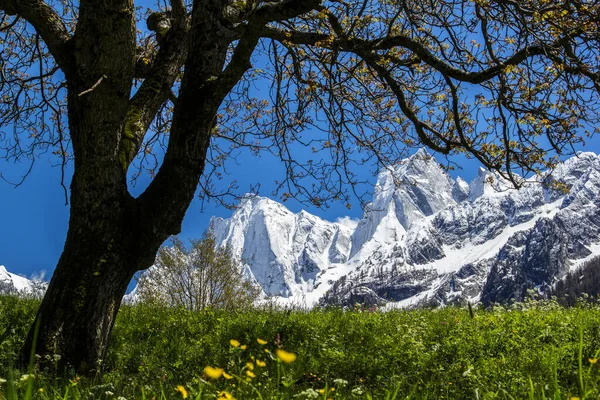 Snötäckta Bergskedjan Sciora Våren Sedd Från Byn Soglio Kantonen Grisons — Stockfoto