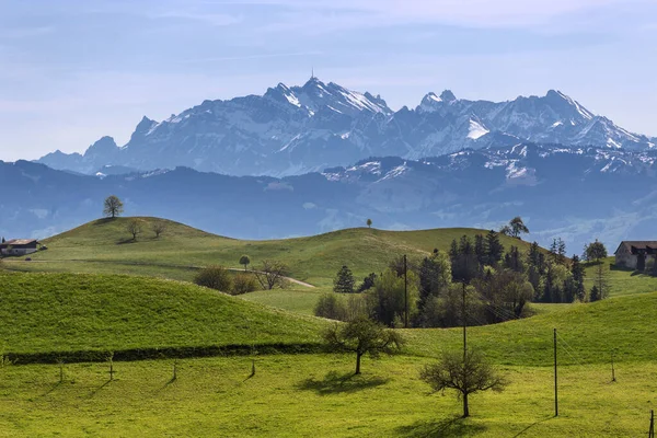 Drumlin Hills Trees Famous Alps Saentis Peak Background — Stock Photo, Image