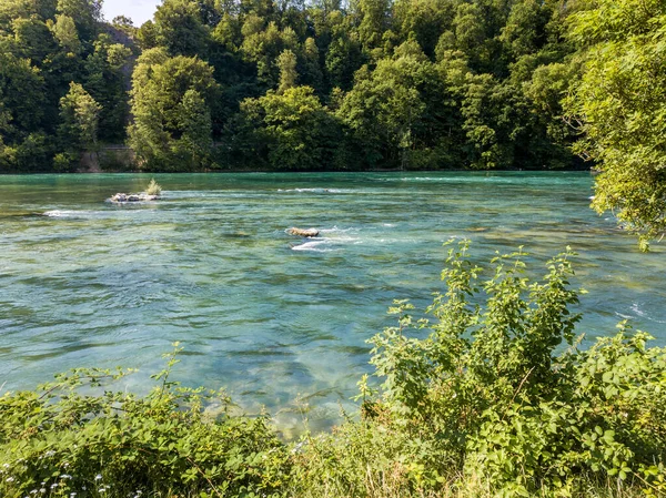 Průtok Zelené Vody Řeky Rýn Evropa Ukazuje Čisté Přírodní Prostředí — Stock fotografie