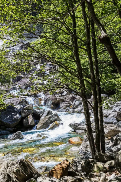 Arroyo Salvaje Torrente Cascadas Por Relleno Que Fluye Través Bosque —  Fotos de Stock