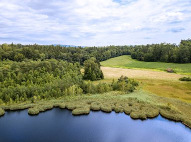 Yüzen çim paspasları olan bir göletin havadan görüntüsü, eski zamanlarda büyüyen çalılarla kaplı olan turba bloğundan kesilmiş..