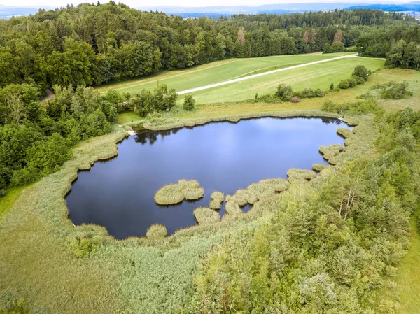 Flygbild Damm Med Flytande Torv Mattor Som Skurits Från Torv — Stockfoto