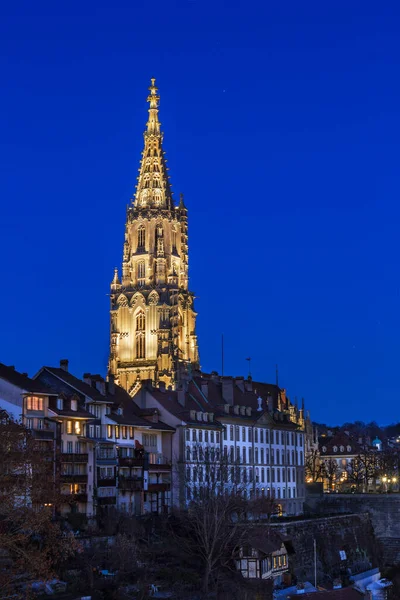 Minster Nel Centro Storico Berna Durante Ore Blu Svizzera — Foto Stock