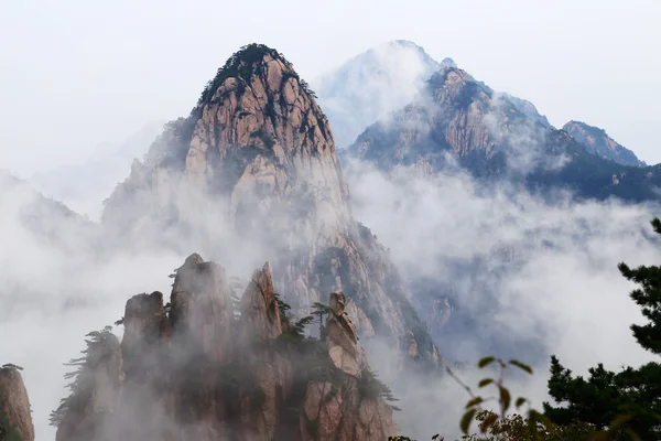Névoa da manhã no Parque Nacional Haungshan, China — Fotografia de Stock