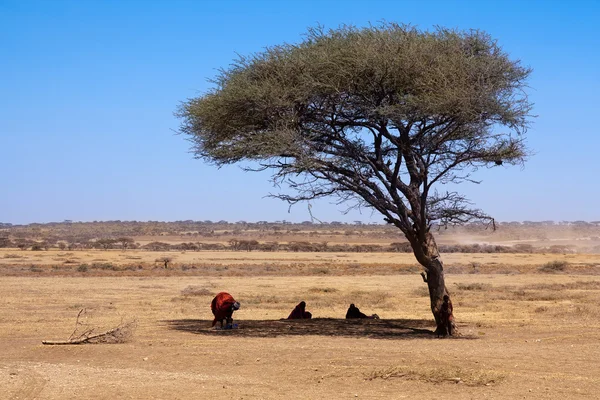 Massai-Dorfbewohner ruhen sich unter einem Baum unter sengender Sonne in Tansania aus — Stockfoto