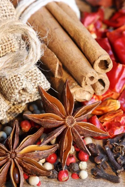 Kruiden met Anijs zaden, kaneel, kruidnagel, chili — Stockfoto