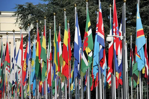 Birleşmiş Milletler, Cenevre, İsviçre, uluslararası bayrakları — Stok fotoğraf