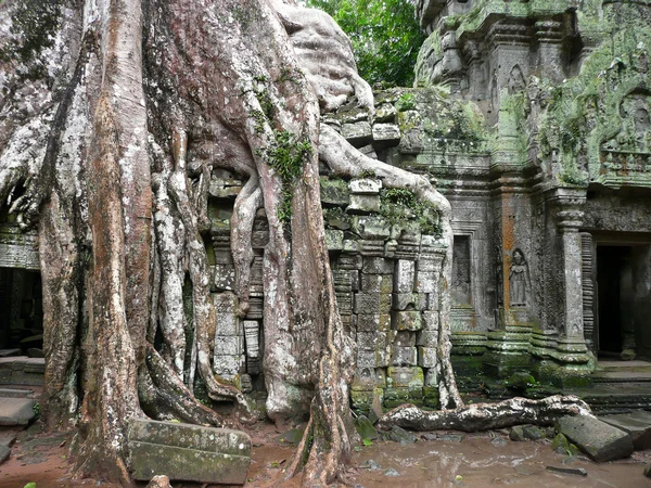 Ruins in Angkok Wat, Cambodian — Stock Photo, Image