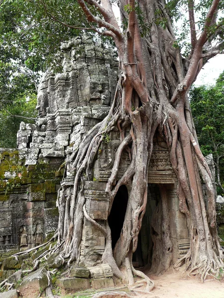 Abandoned temple in Angkor Wat, Cambodia Stock Image