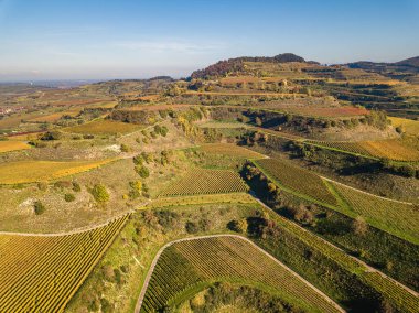 Almanya 'nın Kaiserstuhl bölgesinde sonbahar mevsimi boyunca teras üzüm bağlarının hava görüntüsü