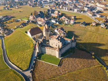 Aigle Kalesi 'nin sonbahar mevsiminde üzüm bağlarıyla çevrili hava manzarası, Vaud Canton, İsviçre.