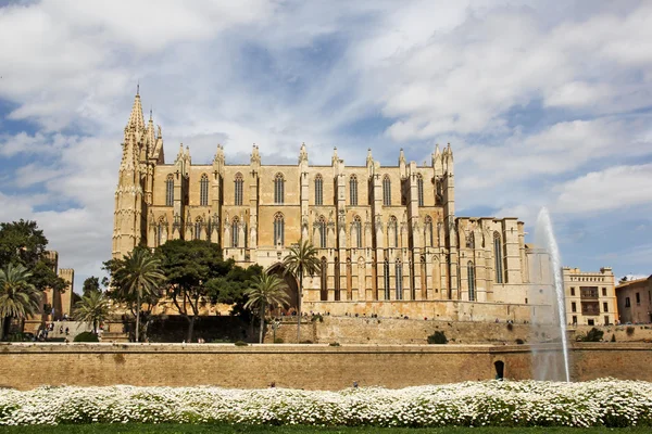 Cathédrale de la Seu Majorque — Photo