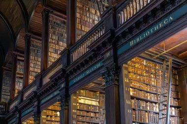 Dublin, İrlanda - Eylül 08. 2025: Dublin 'deki Trinity Koleji Kütüphanesi' nin Uzun Odası 'ndaki kitaplıklar. Burası dünyanın en ünlü kütüphanelerinden biri..