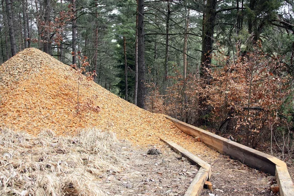 Wood chips as ecological materials — Stock Photo, Image