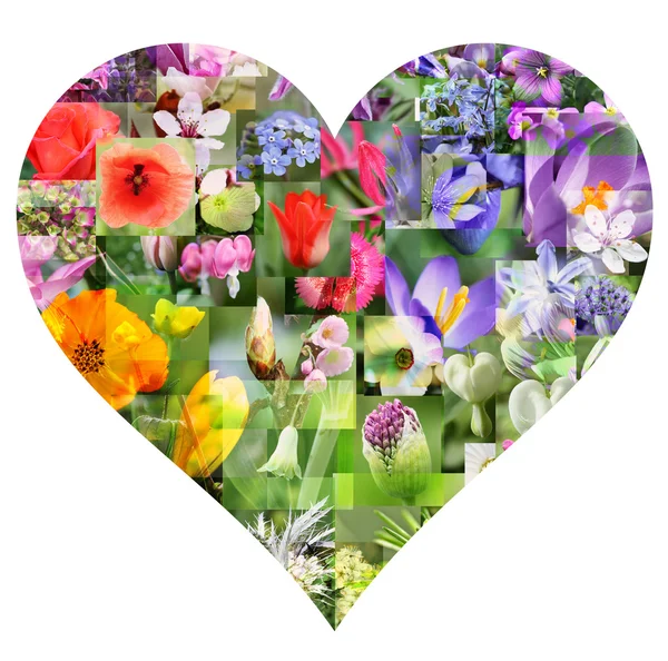 Wiosenny kolaż kwiat w kształcie serca — Zdjęcie stockowe