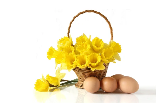 Το Daffodils σε καλάθι με αυγά Ανατολικής — Φωτογραφία Αρχείου