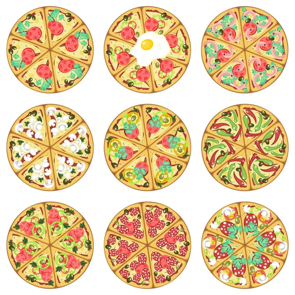 Nine isolated pizzas — Stock Vector