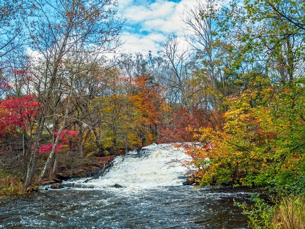 Stream door herfst bos — Stockfoto