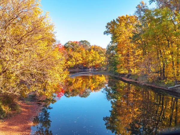 Modrá obloha podzimní rybník — Stock fotografie