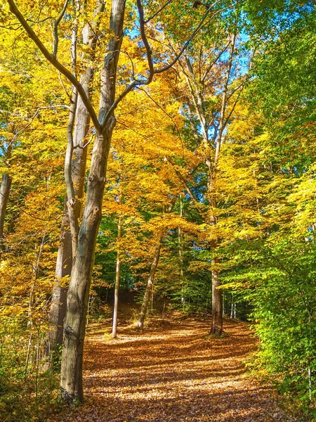 Klidné rybaření na Delaware — Stock fotografie