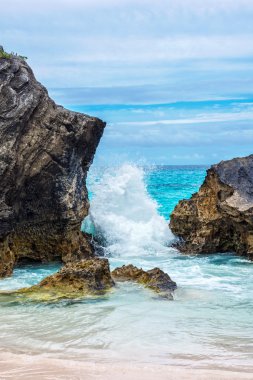 Bermuda kesicisi kayaların üzerinde