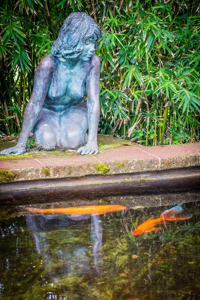 Kijkt uit Over de vijver — Stockfoto