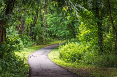 Raritan Greenway yolu