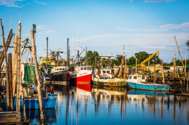 Balıkçı tekneleri Shoal Harbor