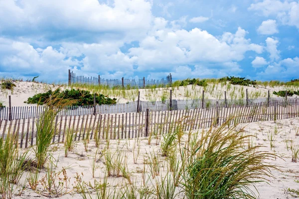 Fencing Along the Dunes — Stock Photo, Image