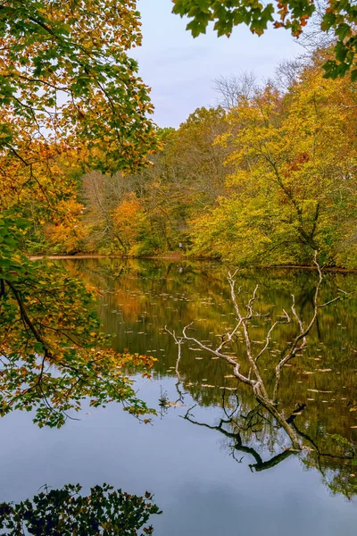 Naturskön Höst Titta Denna Lilla Damm Freneau Woods Park Aberdeen — Stockfoto
