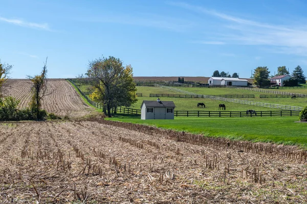 Uma Vista Panorâmica Uma Fazenda Condado Rural York Pensilvânia — Fotografia de Stock
