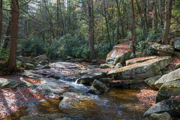 Ruisseau Coule Sur Substratum Rocheux Dans Lac Minnewaska State Park — Photo