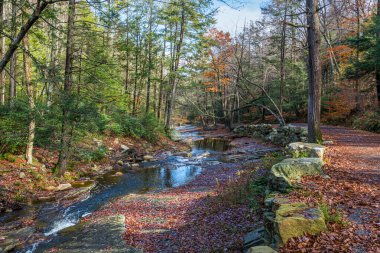 Ulster County, New York 'taki Minnewaska Eyalet Parkı' ndaki bu yürüyüş yolu boyunca bir dere ana kayanın üzerinden geçiyor..