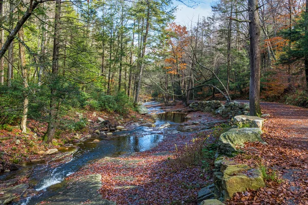 Een Beek Stroomt Een Rots Langs Dit Wandelpad Lake Minnewaska — Stockfoto