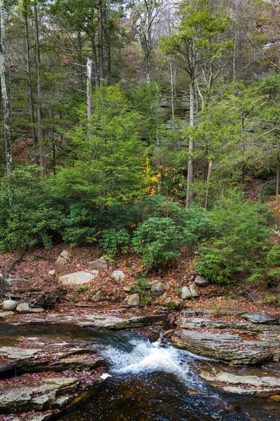 얼스터 미네와 공원에 기반암 흐르는 물줄기 — 스톡 사진