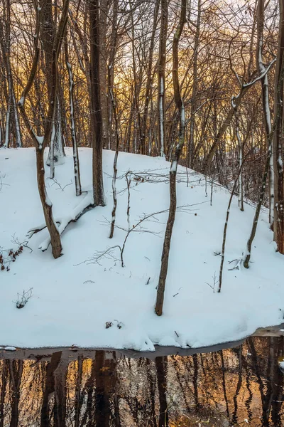 Réflexions Crépuscule Avec Neige Fraîche Dans Freneau Woods Park Dans — Photo