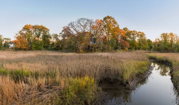 モンマス郡の湿地に隣接する家 New Jersey — ストック写真