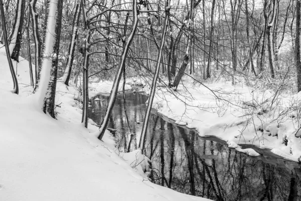 Fresh Snow Stream Freneau Woods Park Aberdeen New Jersey — Stock Photo, Image