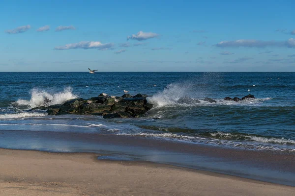 Seagulls Jetty Windy Day Long Branch Jersey Shore — Stock Photo, Image