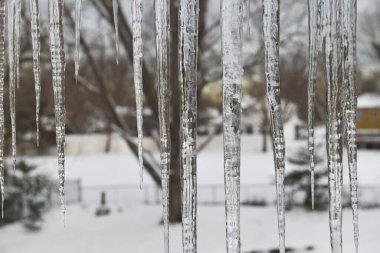 Bulanık kış manzaralı buz saçakları arkaplan resmi.
